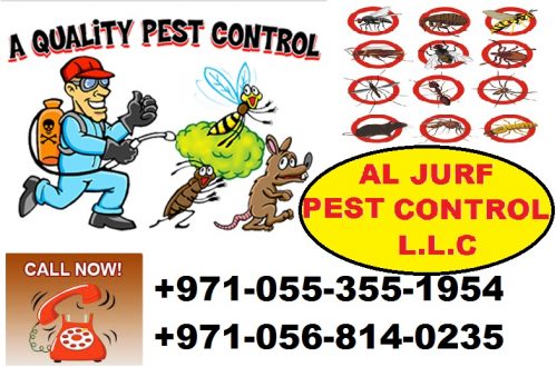 Get Rid of Bed Bugs and Cockroaches , Call us for Pest Control Services