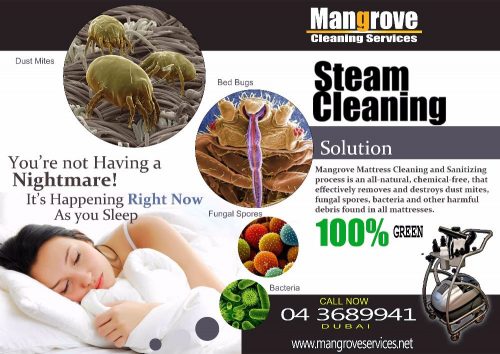 Curtain, Mattress, Carpet, Upholstery Steam Cleaning Services in Dubai