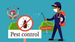 PEST CONTROL & CLEANING