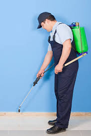 PEST CONTROL & CLEANING