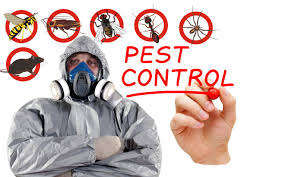 PEST CONTROL & CLEANING