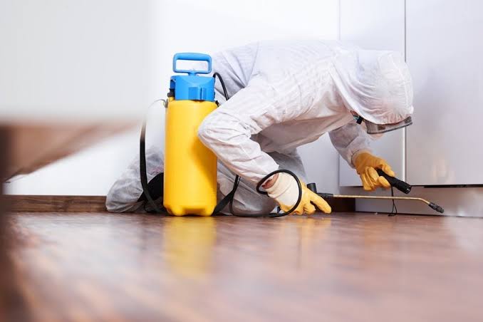 Pestcontrol and cleaning service in Qatar