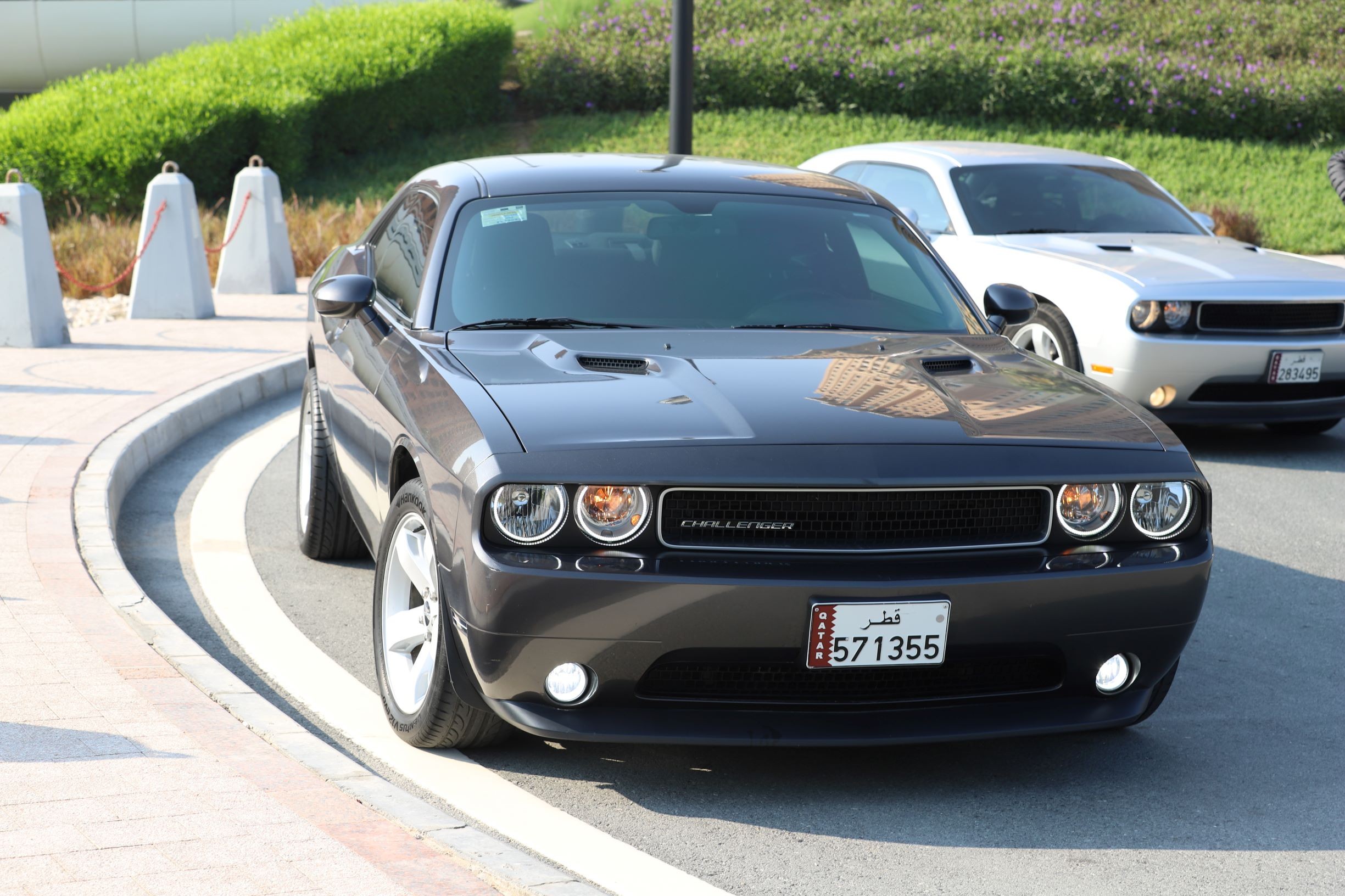 DODGE CHALLENGER V 6 2014 MODEL FOR SALE-Madinat Khalifa South -Qatar