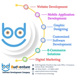 Web Design & Development Company