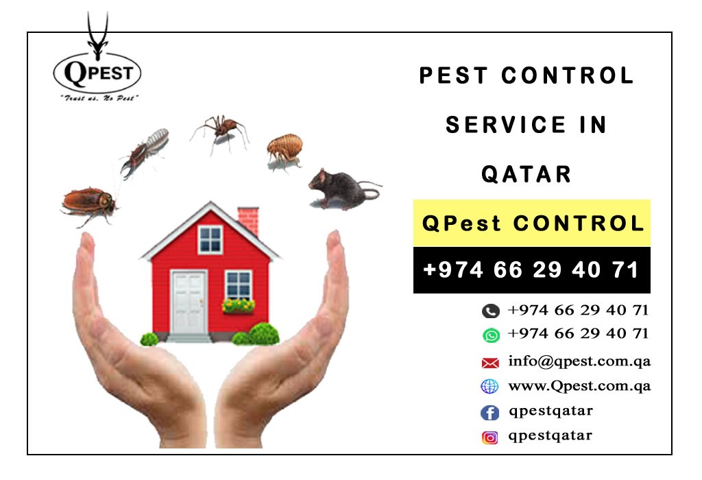 Pest control services in Qatar