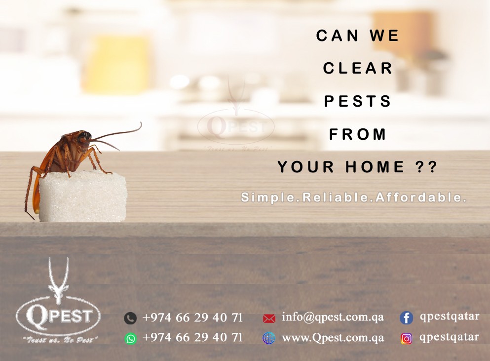 Pest control services in Qatar