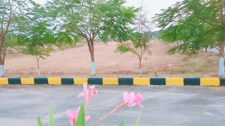 AED 1000000, 355 Sq. Yard – DEVELOPED PLOT 355 SQ yds in INMULNARVA- Kothur