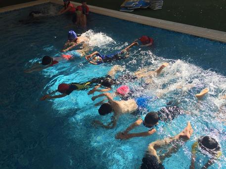 Want Swimming Training in Ajman?