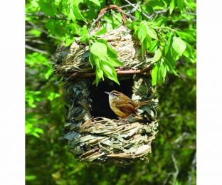 Bird Feeding Supplies- United States