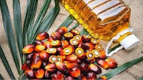 Exporter and Supplier of Palm Oil Online-USA