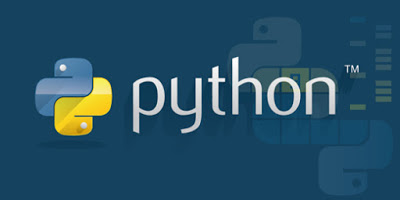 Python Development Company | Python Web Development Services