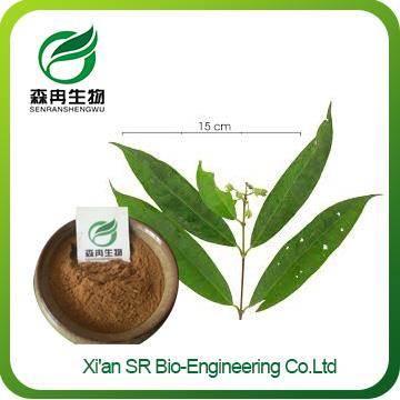 Vitex Berry Extract, Factory Supply Organic Vitex Herbal Supplement, Wholesale Vitex Powder