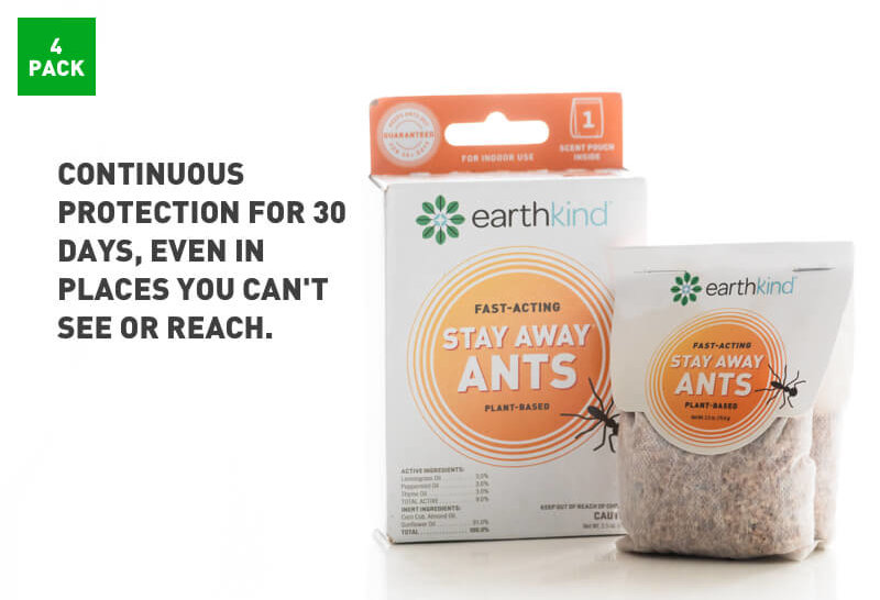 Stay Away Ants, Ant control near me