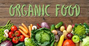 Partner/Investor required for expansion of Well established ORGANIC food Products company