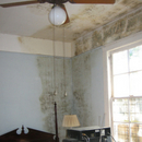 Queens Water Damage Restoration Near Me