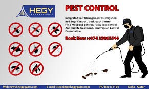 PEST CONTROL SERVICE IN DOHA QATAR