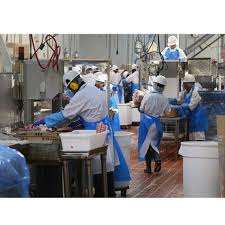 Urgently Required Factory Helper for delivery and Production