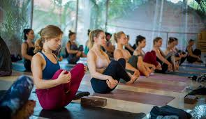 Basic 200 Hour Yoga Teacher Training Course Certification In 2020