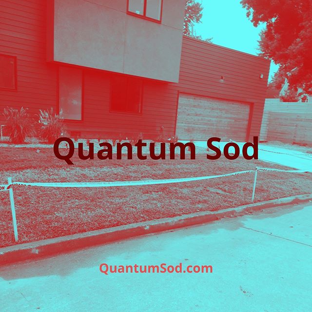 Quantum Sod