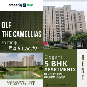 5 BHK Apartment in DLF The Camellias | 5 BHK Apartment for Rent in Gurugram- India