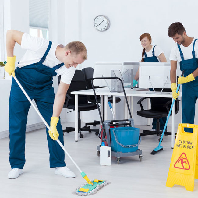 Cleaning services for various environmental groups