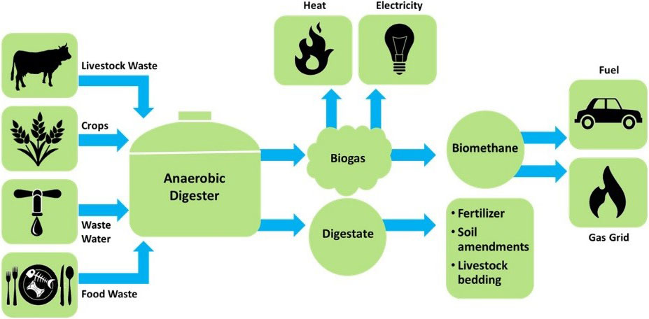 Gintex Solution – A Experienced and Professional Biogas Plant Manufactures in Kollam, Kerala