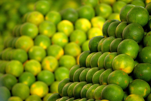 Musambi (Sweet lemon ) plants