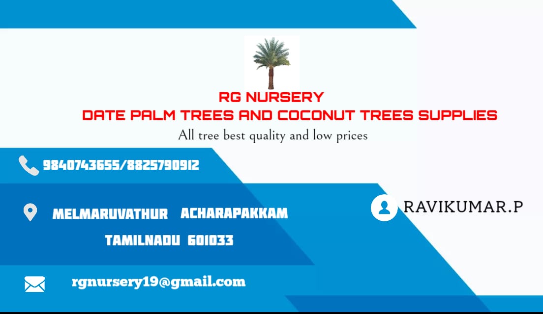 RG NURSERY AND DATE PALM TREE SUPPLIER-Melmaruvathur, Acharapakkam, Tamil Nadu