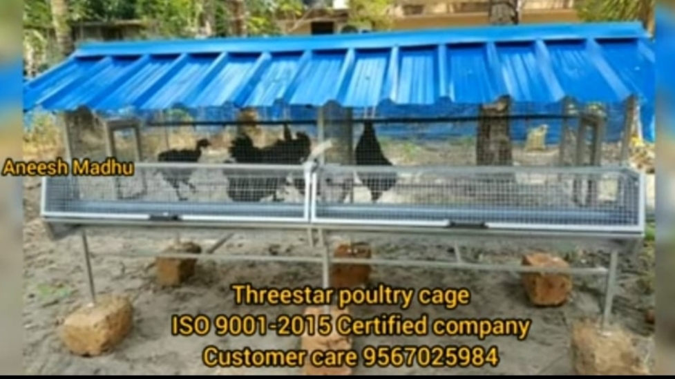 Hitech cage I cage I Chicken cage I hen cage I hi tech Cage I kozhikoode I kozhi koodu