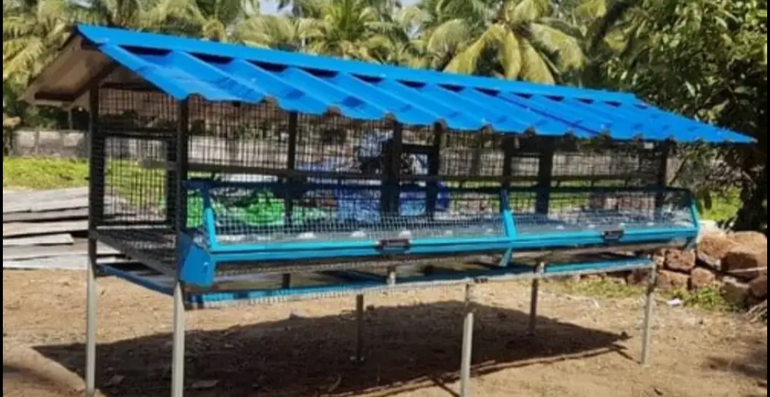 Hitech cage I cage I Chicken cage I hen cage I hi tech Cage I kozhikoode I kozhi koodu