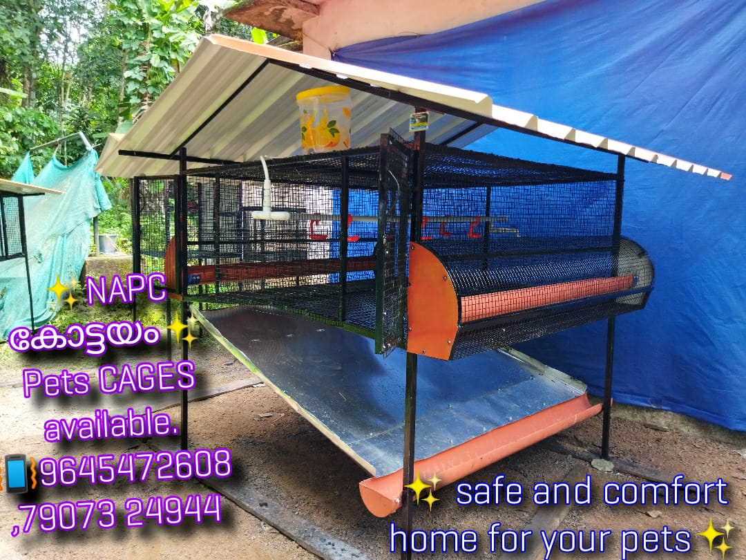 Our pets is our Heart.-NOAH ARK PETS CAGE KOTTAYAM.