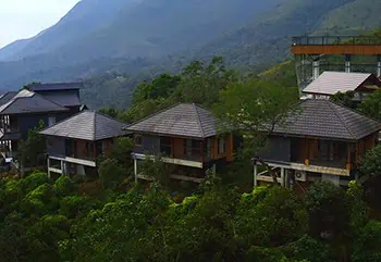 A Rejuvenating Return To Nature- Wild planet Luxury Resort