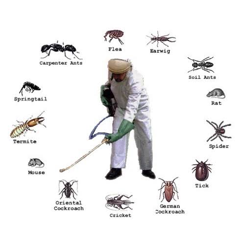 OnGuard Pest control service – Trivandrum